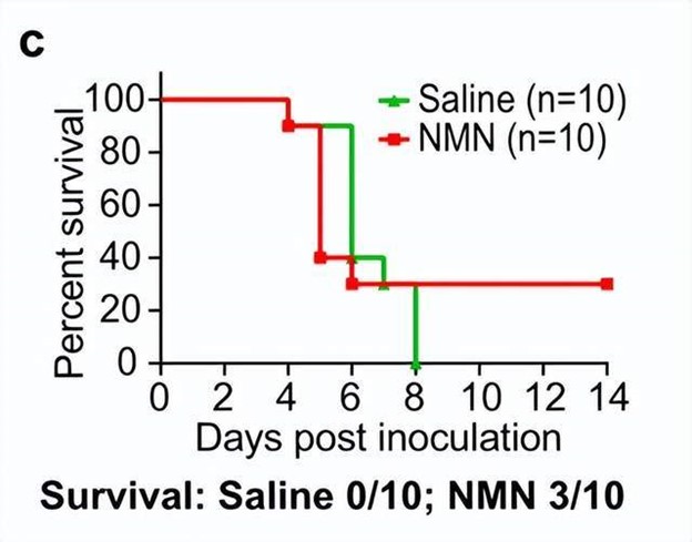 plot of survival rate of mich with time of infection